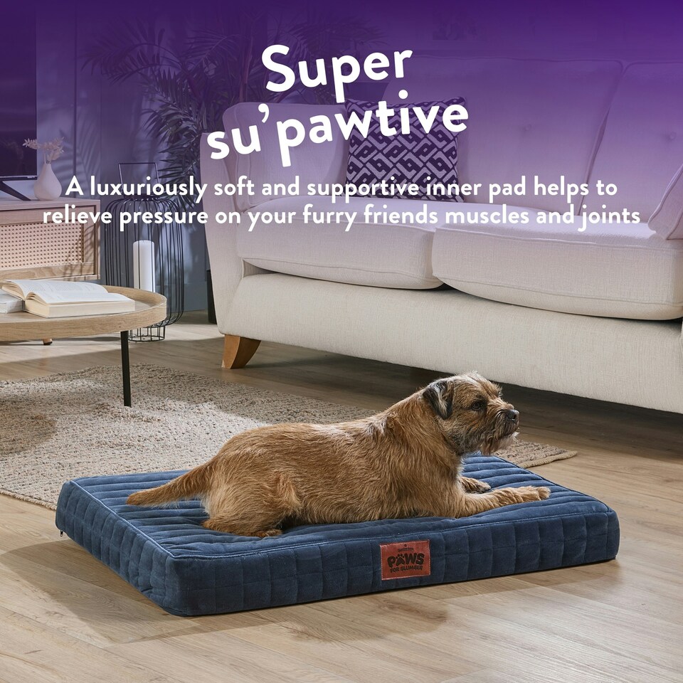 image 1 of Paws for Slumber Orthopedic Pet Bed, Small