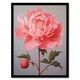 image 1 of Pretty Pink Peony Elegant Floral Bloom Home Decor Black Framed Wall Art Print A4