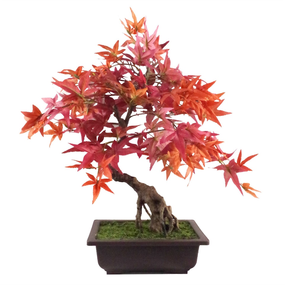 image 1 of Artificial Bonsai Tree Red Maple Bonsai 50cm Leaf Design Trees Realistic Plant Botanik | Red | One Size