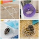 image 9 of PawHut Hamster Cage w/ Tubes Exercise Wheel, Water Bottle, Food Dish -  Blue