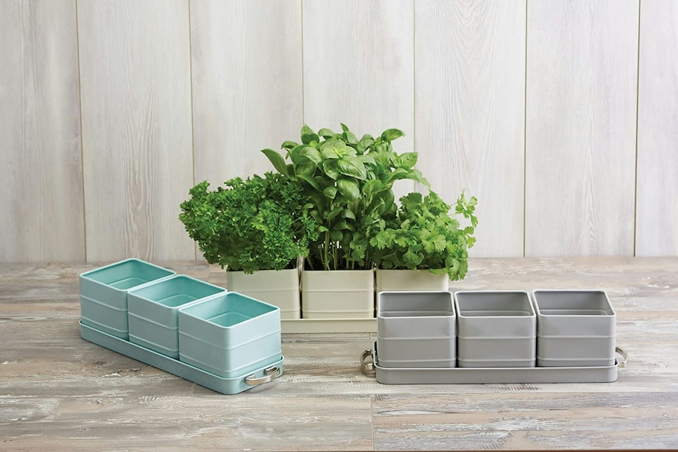 image 1 of KitchenCraft Living Nostalgia Indoor Metal Herb Pots and Tray Set