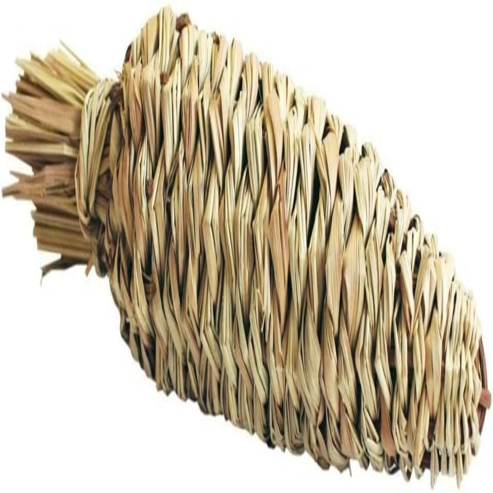 Small Pet Toy Natures First Grassy Carrot