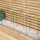 image 4 of Pack of 3 Tom Chambers Green Metal Herbaceous Garden Plant Support Rings Small
