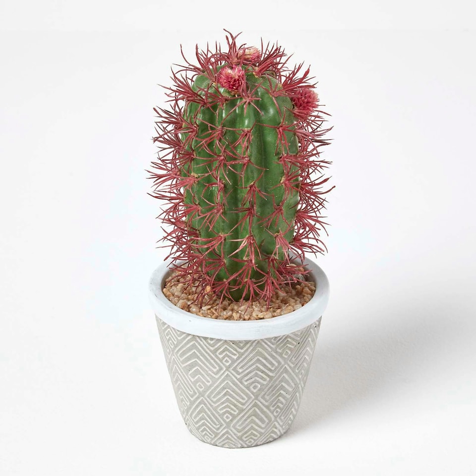 image 1 of Homescapes Denmoza Artificial Cactus with Flowers in Patterned Pot, 25 cm Tall