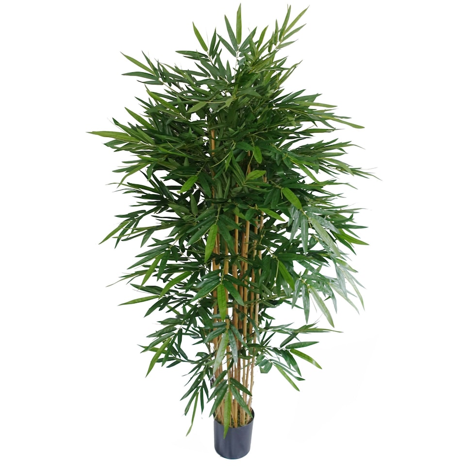 image 1 of 180cm UV Resistant Bamboo Premium  Realistic Green | One Size