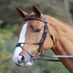 image 2 of Shires Aviemore Mexican Bridle Black | Size: Cob
Colour: Black