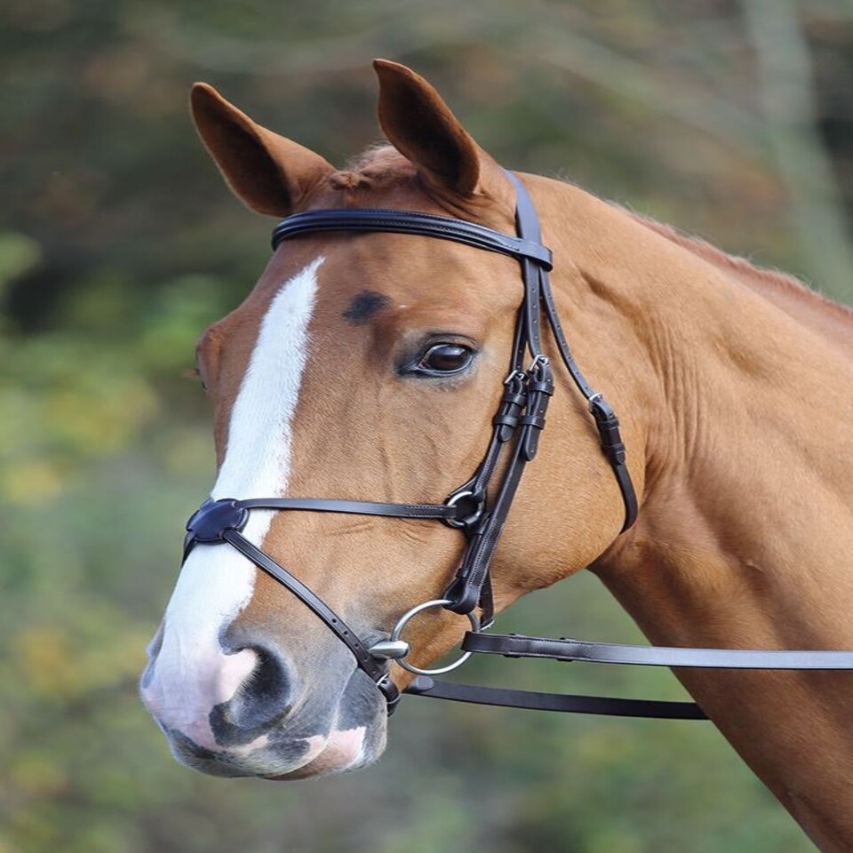 image 1 of Shires Aviemore Mexican Bridle Black | Size: Cob
Colour: Black