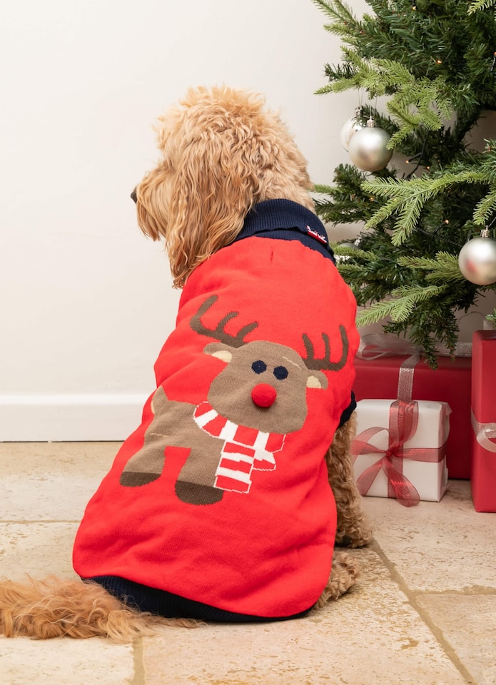 image 1 of Christmas Dog Jumper - Reindeer
