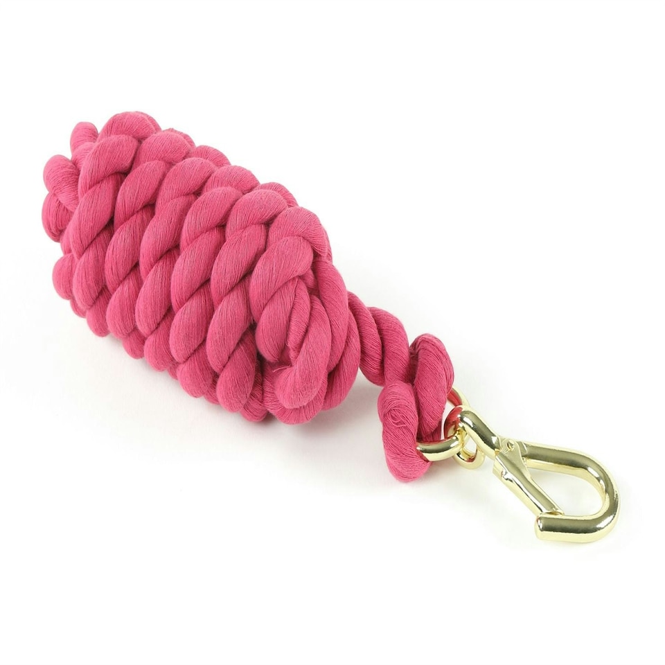 image 1 of Shires Plain Headcollar Lead Rope Blue | Colour: Baby Blue
Size: One Size