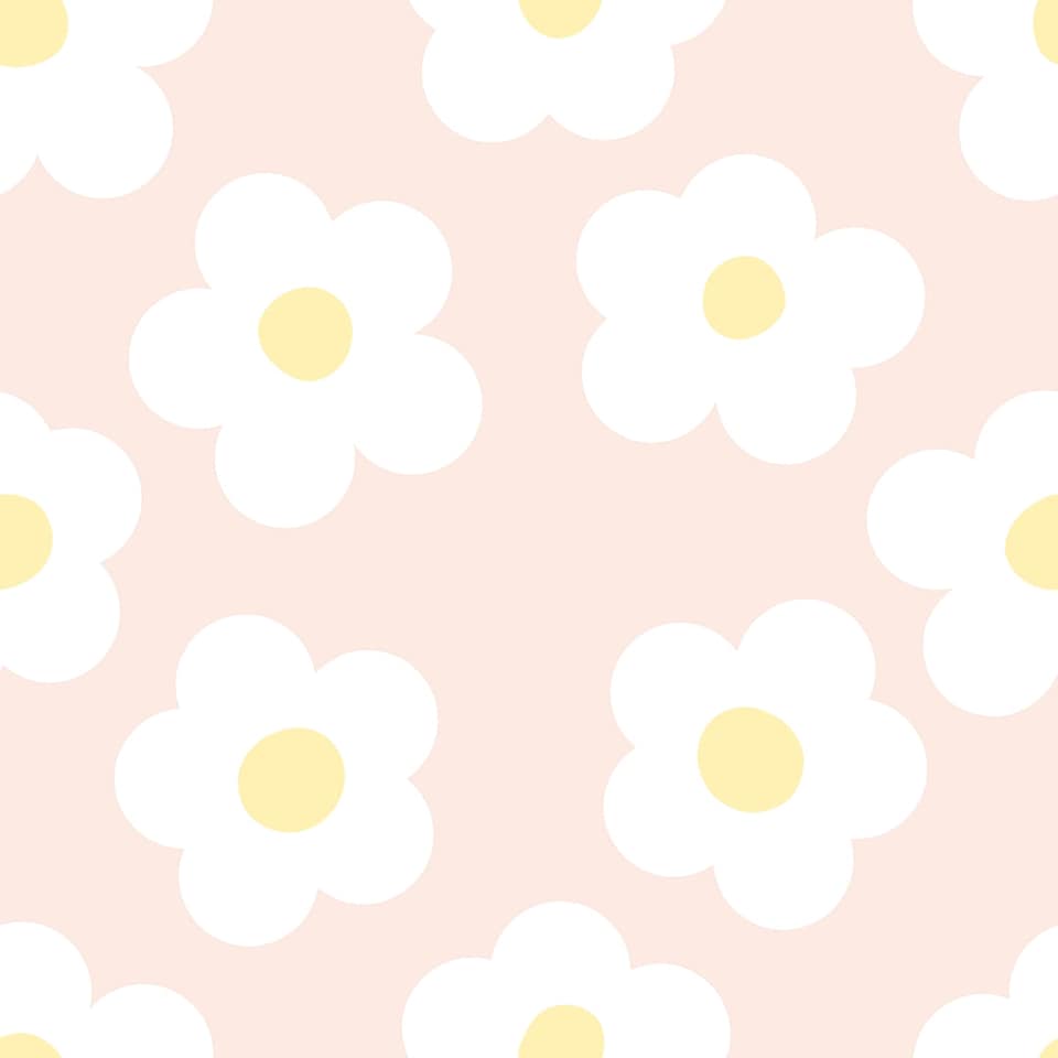 image 1 of Ditsy Daisy Wallpaper in Soft Peach | Orange | Soft Peach