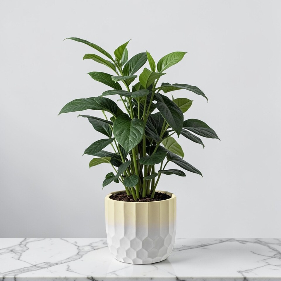 image 1 of Ceramic Geometric Yellow Ombre Decorative Indoor Plant Pot