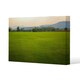 image 1 of image of lush grass field (Canvas Print) 101 x 77 x 4cm
