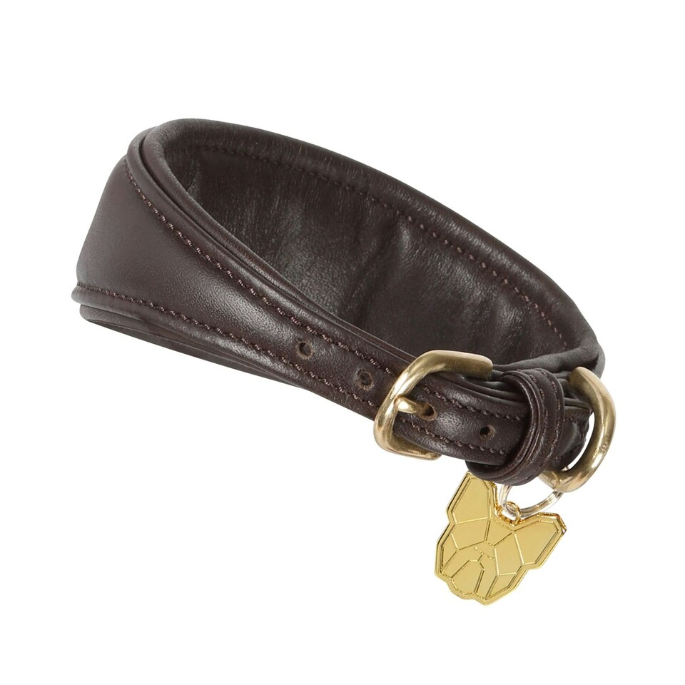 image 1 of Digby & Fox Leather Padded Greyhound Dog Collar - Brown - S - Neckline: 25cm-28cm