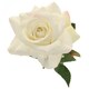 image 2 of Cream Richmond Rose Artificial Silk Flower 42cm