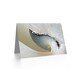 image 2 of Dt Abstract Macro Shell Birthday Card