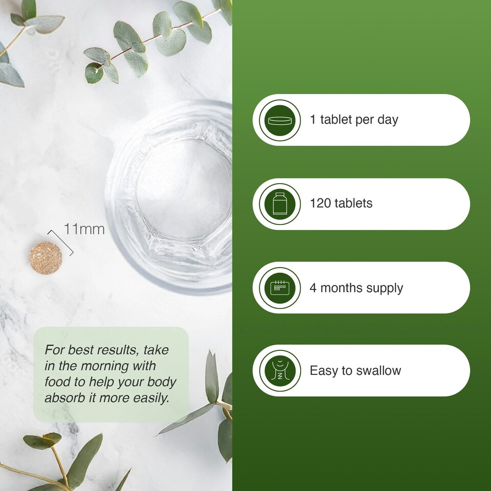 image 1 of Zipvit Ginkgo Biloba 6000mg & Siberian Ginseng 600mg with Vitamin B3 & B5, Energy & Mental Performance, 120 Vegan Tablets, 4-Month Supply