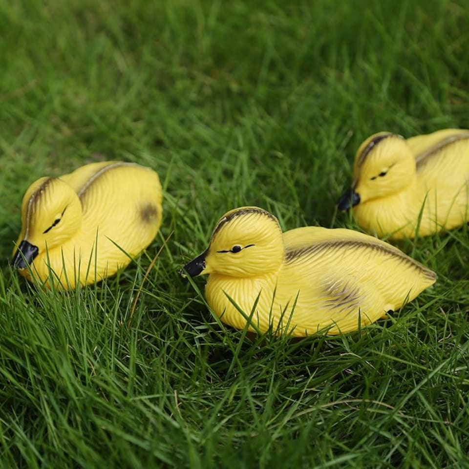 image 1 of Pisces Decoy Floating Baby Ducklings -Set of 3