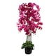 image 1 of 150cm Giant Pink Orchid Plant - Artificial - 189 flowers REAL TOUCH
