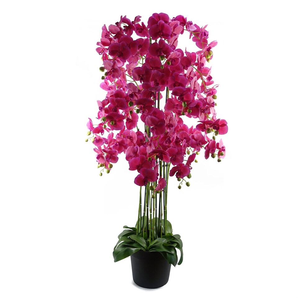 image 1 of 150cm Giant Pink Orchid Plant - Artificial - 189 flowers REAL TOUCH
