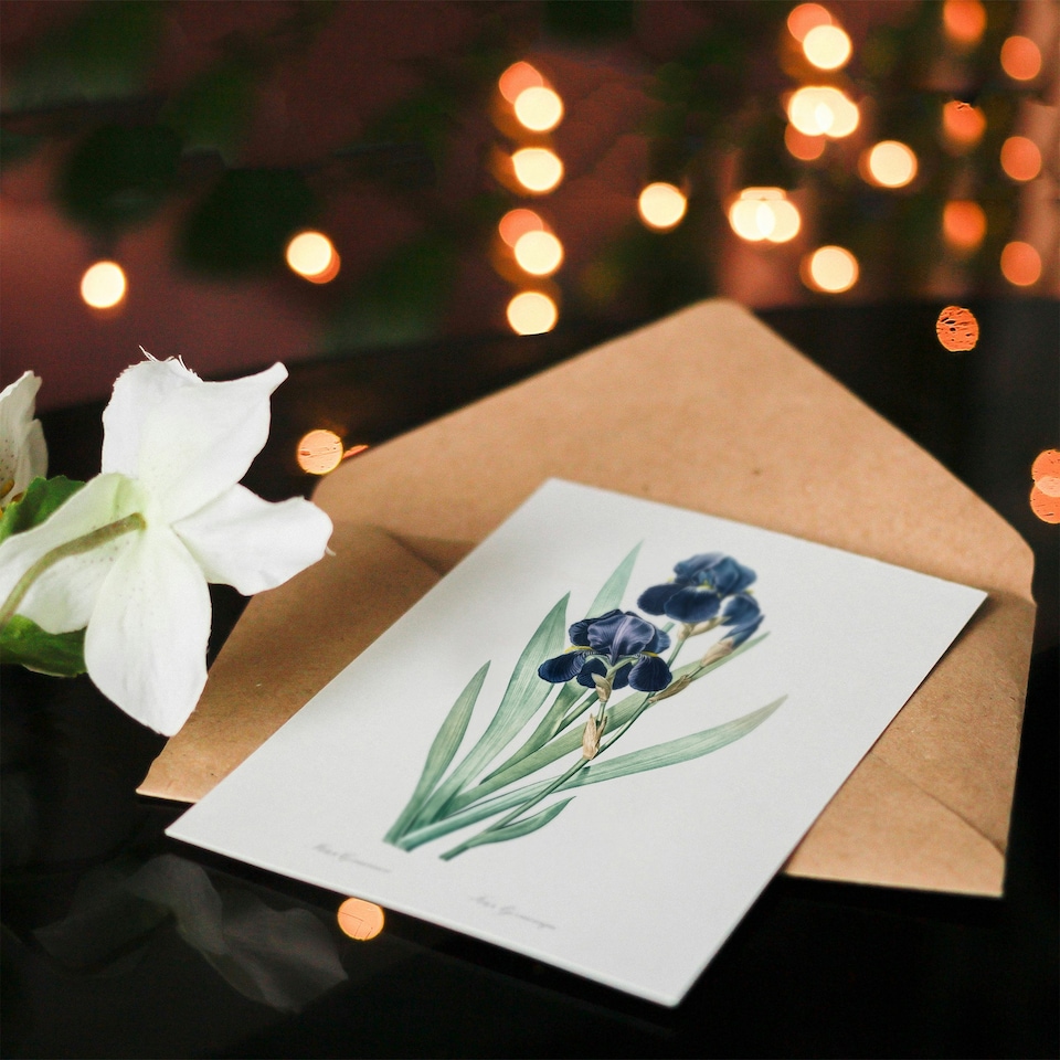 image 1 of Pierre-Joseph Redouté Art Card Bearded Iris Vintage Botanical