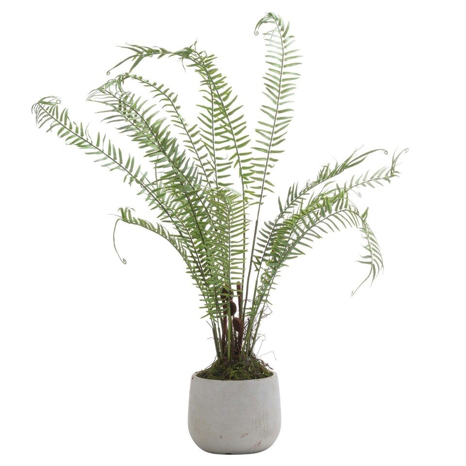 Hill Interiors Boston Fern Artificial Plant - Green/White - 67cm x 60cm x 60cm