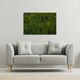 image 2 of Fresh green grass background, natural grass (Canvas Print) 152 x 101 x 4cm