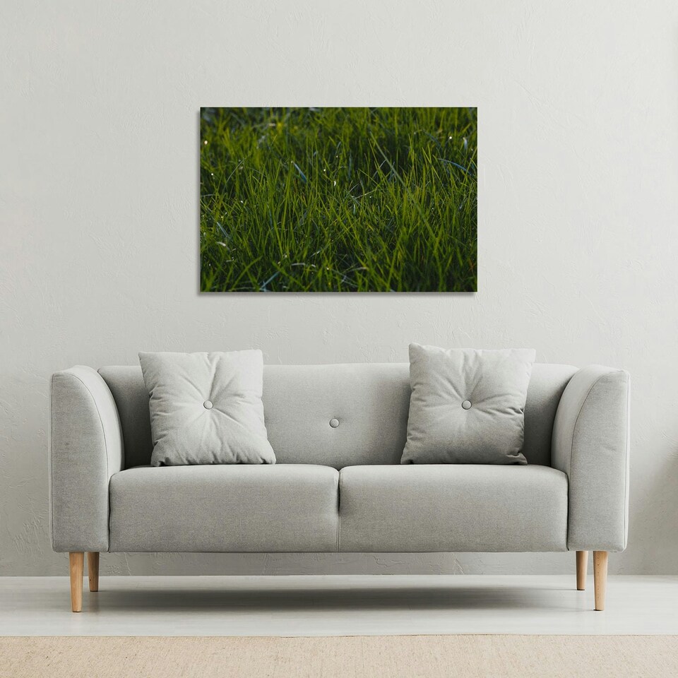 image 1 of Fresh green grass background, natural grass (Canvas Print) 152 x 101 x 4cm