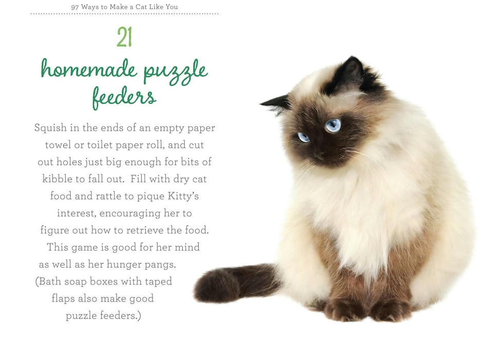 image 1 of 97 Ways To Make A Cat Like You