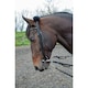 image 2 of Shires Leather Horse Lunging Adapter - Black - One Size
