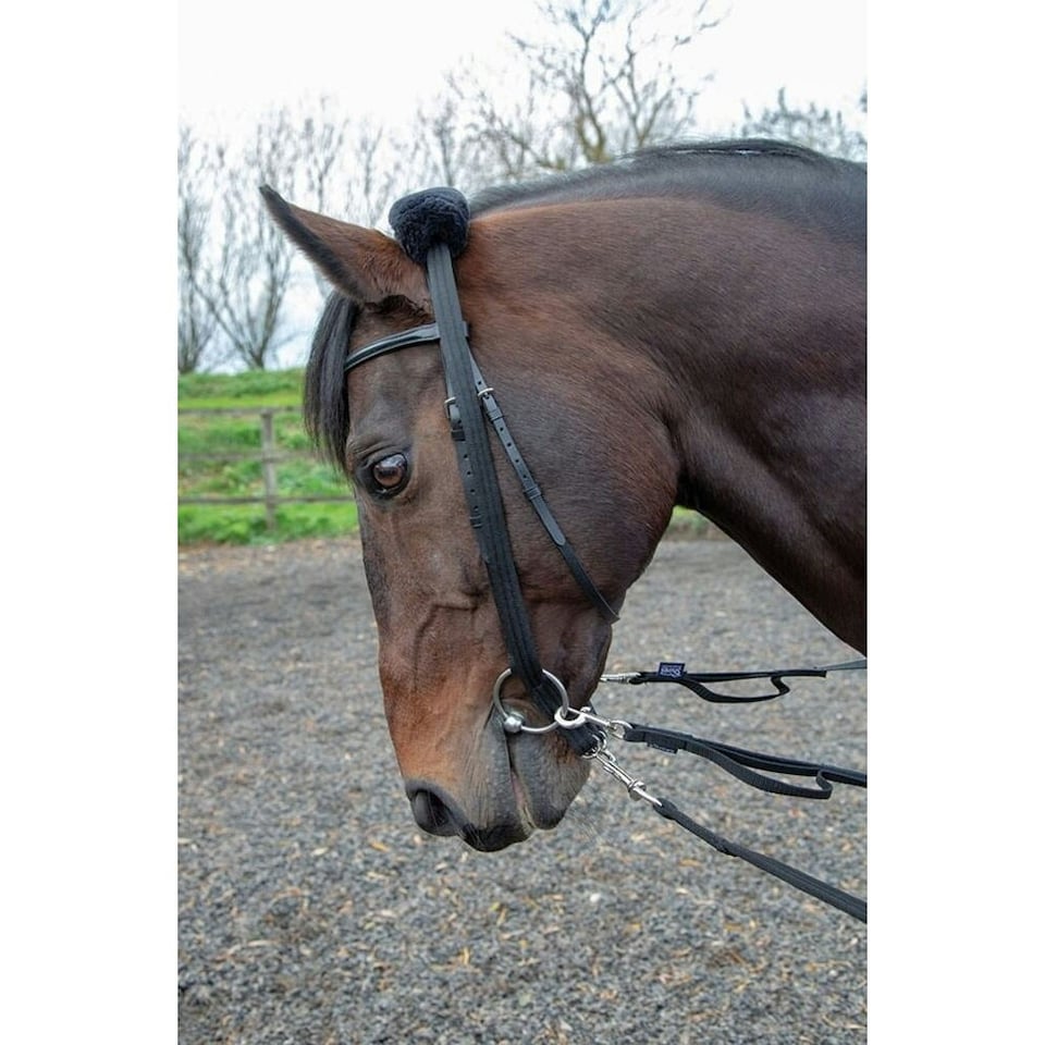 image 1 of Shires Leather Horse Lunging Adapter - Black - One Size