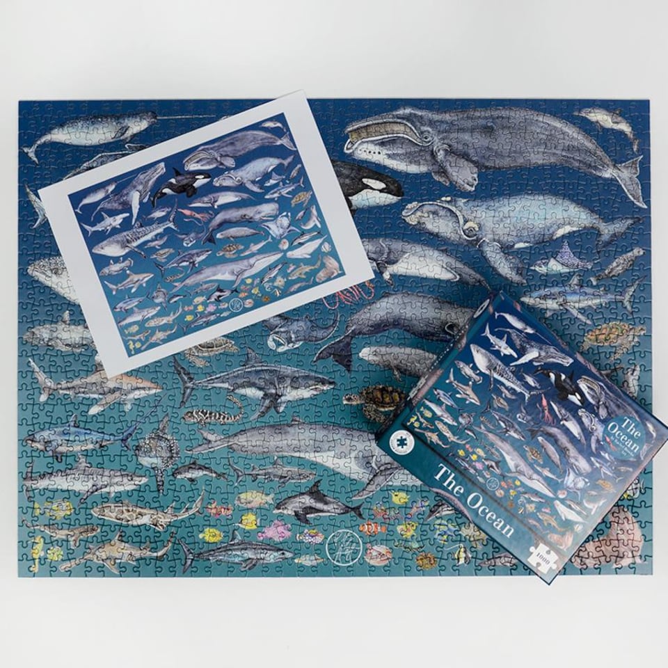 image 1 of The Ocean 1000 Piece Jigsaw Puzzle