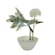 image 3 of Flower Frog - Ceramic - L15 x W15 x H8 cm - White White