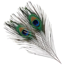 Trimming Shop Real Peacock Feather, 15" - 18" Inch - 25pcs