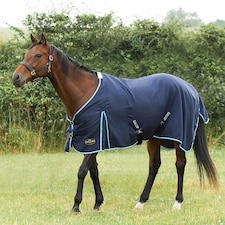 Gallop Equestrian Summer Sheet Orange | Size: 5ft 9
Colour: Burgundy