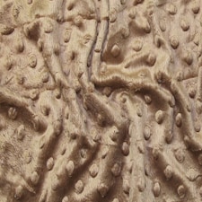 Brown Textured Baby Soft Fleece Fabric for Dressmaking, Toy Making, 150cm / 59" Wide - per metre