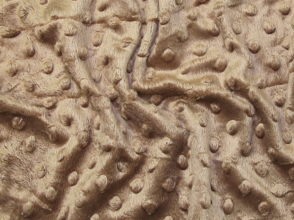 Brown Textured Baby Soft Fleece Fabric for Dressmaking, Toy Making, 150cm / 59" Wide - per metre