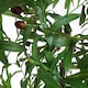 image 5 of True Products Premium Artificial Olive Tree 170cm Tall Green | One Size