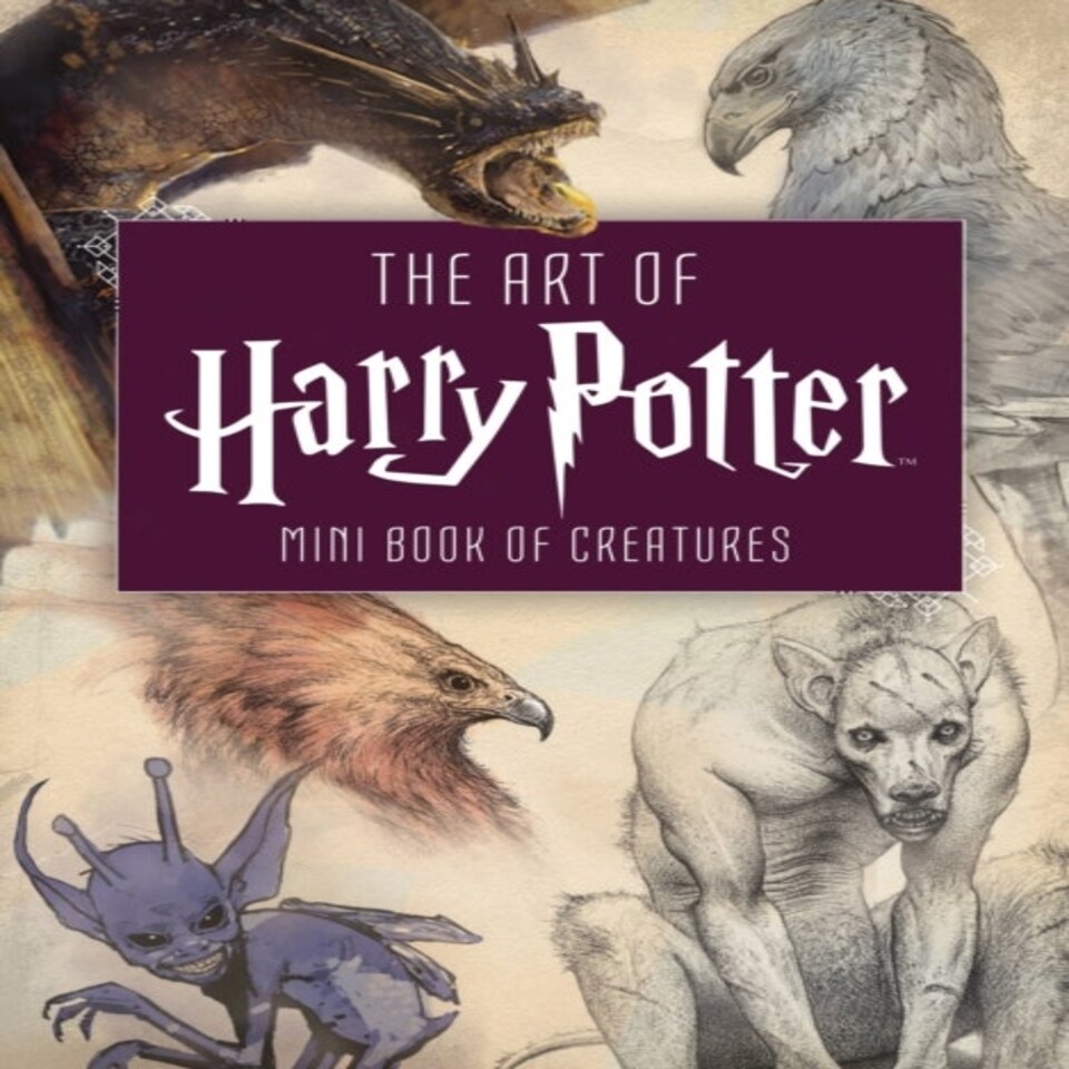 The Art Of Harry Potter