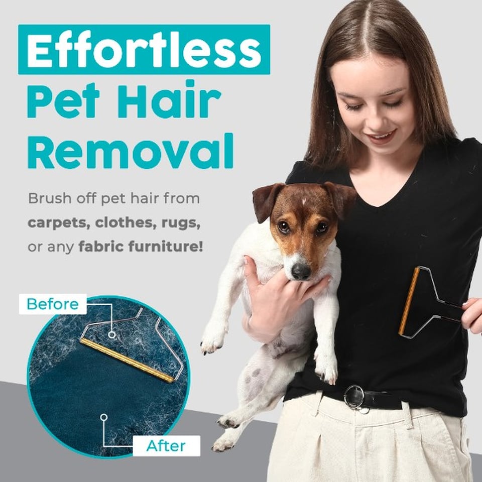 image 1 of Brush-it Pet Hair Remover Brush