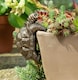 image 1 of Tortoise Plant Pot Hanger - L11 x W6 x H7.5 cm | Bronze