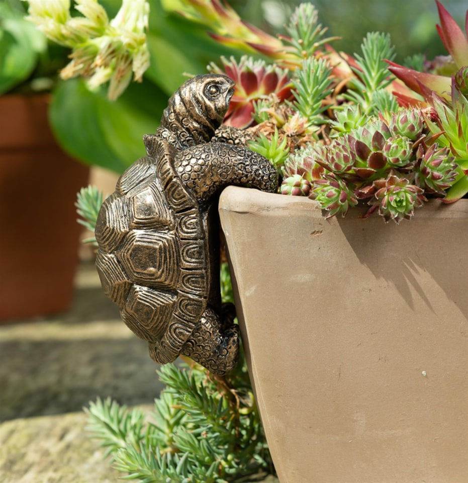 image 1 of Tortoise Plant Pot Hanger - L11 x W6 x H7.5 cm | Bronze