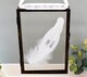 image 2 of Our Angel In Memory of Real feather Floating Picture Frame. Memorial