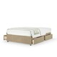 image 1 of Neptune Spring Mink Naples Velvet 4 Drawer Divan Set Double