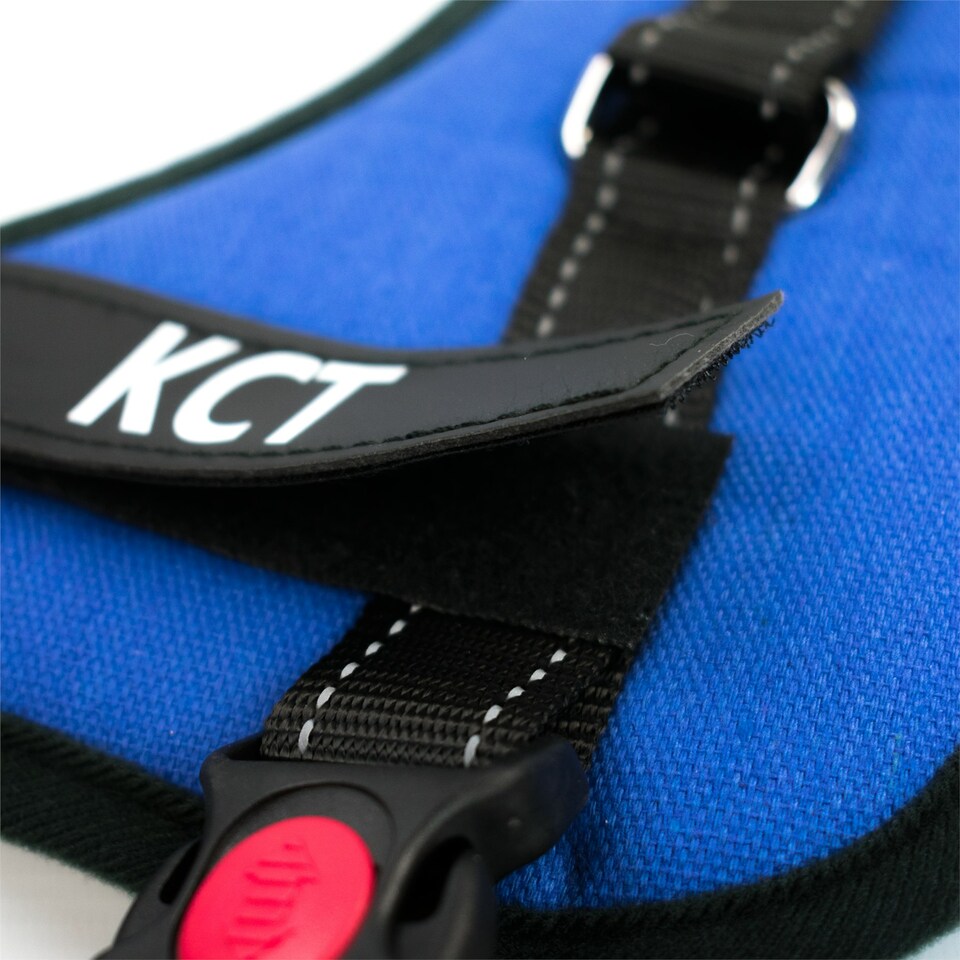 image 1 of KCT Large Blue Padded Dog Harness Blue | L