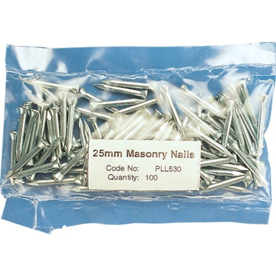 Plastica 100 Masonry Nails 25mm (1in)