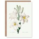 image 1 of Pierre-Joseph Redouté Art Card White Lily Vintage Botanical