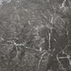 image 1 of NOVECRAFTO Self Adhesive Vinyl Floor Tiles - 12x12 in (30.5x30.5cm) - Waterproof 1.5mm Thick Peel & Stick Flooring - Luxe Marble Effect for Kitchen | Black | 4.65 sqm