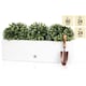 image 3 of Primrose Gloss Fibreglass Trough Planter in White 80cm