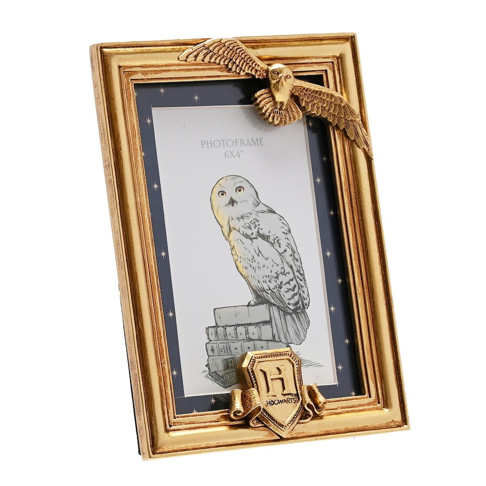 image 1 of Warner Bros Harry Potter Alumni Gold Photo Frame Hedwig