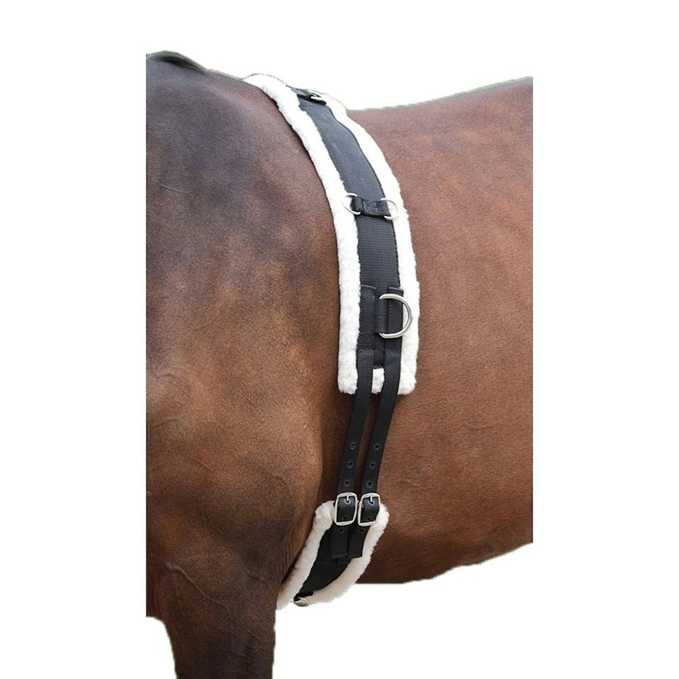 image 1 of Shires Fleece Padding Nylon Horse Lunging Roller - Black - Cob